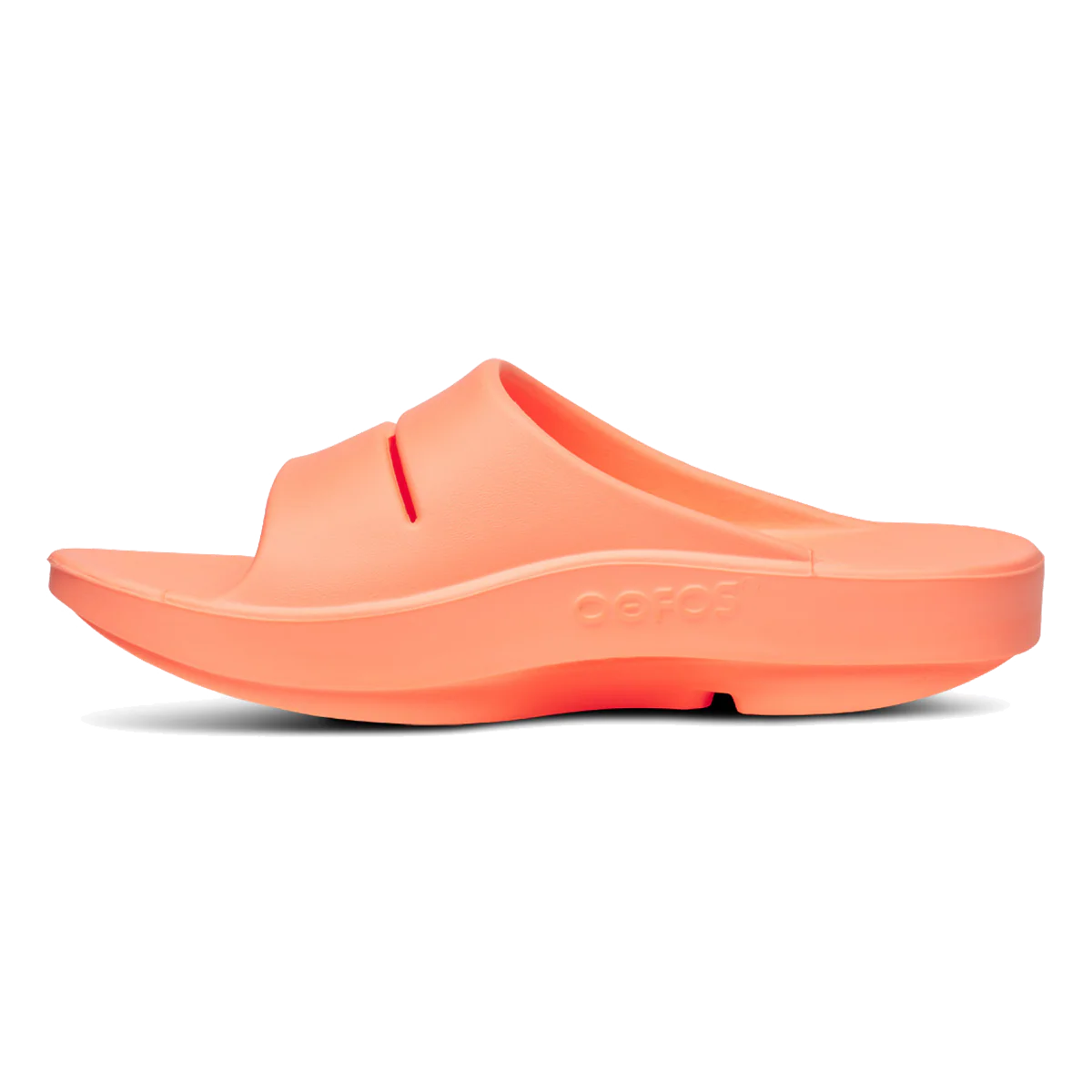 Product image 98